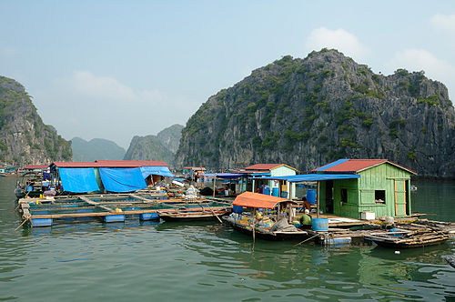 Fishing village